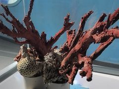 -泉城欧乐堡海洋极地世界