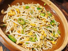 辣椒鸡蛋炒豆芽-广府乡下·饭庄(新港东路店)