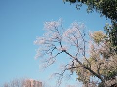 -滇池海埂公园