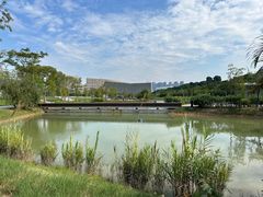 -深圳大学(丽湖校区)
