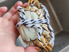 -阳澄湖大闸蟹·琼灵阁牌品牌连锁(吴中总店)