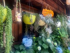 -龙姐私房菜(和顺古镇店)