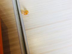 -秦镇史玉林凉皮(翡丽城店)