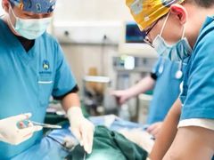 -动物缘宠物医院·骨科·猫科(西二环店)