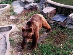 -无锡动物园·太湖欢乐园