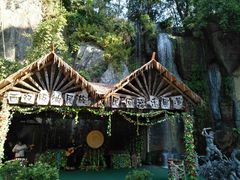 -西双版纳原始森林公园