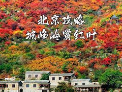 -周口店坡峰岭风景区
