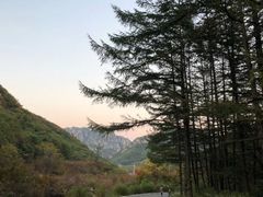 -大连天门山国家森林公园