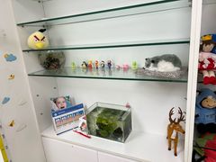 -瑞尔齿科(上海长风大悦城店)