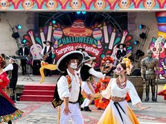 -大连海昌发现王国主题公园