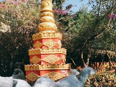 -瑞丽独树成林风景区