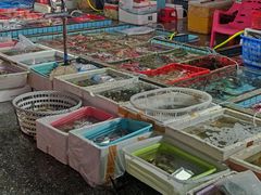 -霞涌市场海鲜摆卖区