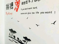 -烁佳海鲜大馅饺子