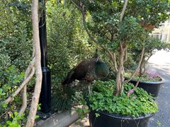 -金庭庄园酒店-停车场