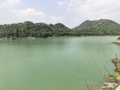 -长沙黑麋峰国家森林公园