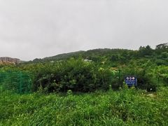 -浮山香苑