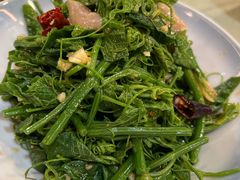 丝瓜尖拌海螺片-渔娘渔家丹东海鲜(东直门店)