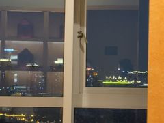 -上海锦江汤臣洲际大酒店