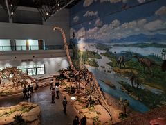 -自贡恐龙博物馆