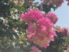 -丽泽山庄·生态怀柔菜·虹鳟鱼(红螺寺店)
