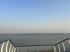 -贡湖湾湿地公园