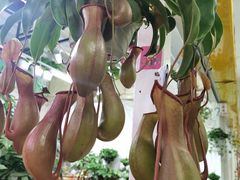 -三旗百汇商品城