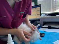 -瑞派·关忠动物医院·猫专科·犬专科(三环新城店)