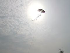 -滆湖低碳生态公园