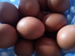 -国商百货(卫星广场店)