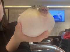 -肆月河豚·新淮扬(金融街店)