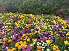 -庐山风景区花径公园