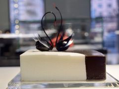 -BLACKSWAN黑天鹅(环球店)
