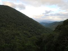 -海南热带雨林国家公园吊罗山景区