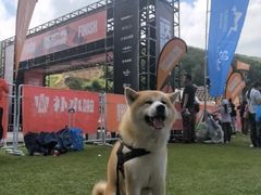 -密苑云顶乐园