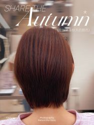 -蚂蚁造型俱乐部