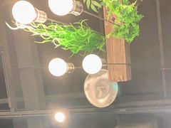 -肥佬大椰子鸡(三里屯3·3大厦店)