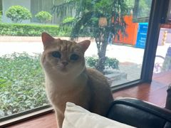 -咖法森林·咖啡  酒吧(天河店)