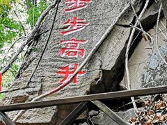 -天女山森林公园