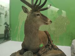 -国家自然博物馆