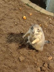 -Zoolung Zoolung动物主题公园(海信广场店)