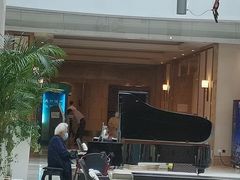 -泰康之家·申园