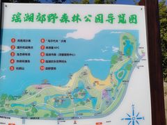 -瑶湖郊野森林公园