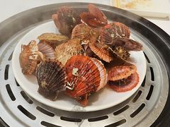 扇贝-海味当家·蒸锅海鲜(中山广场创始店)