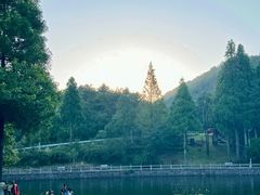 -玉苍山国家森林公园