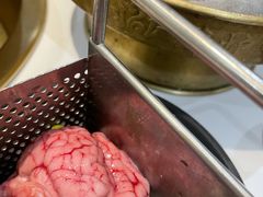 猪脑花-沸炉重庆老火锅(军事博物馆店)