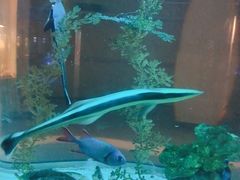 -常州海昌海洋探索馆
