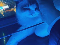 -零纪元VR体验馆·桌游(黄浦店)