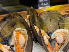 -枫伝料理居酒屋