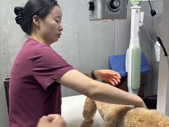 -美联众合动物医院·24h京西诊疗中心