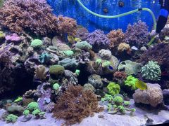 -珠海长隆海洋王国